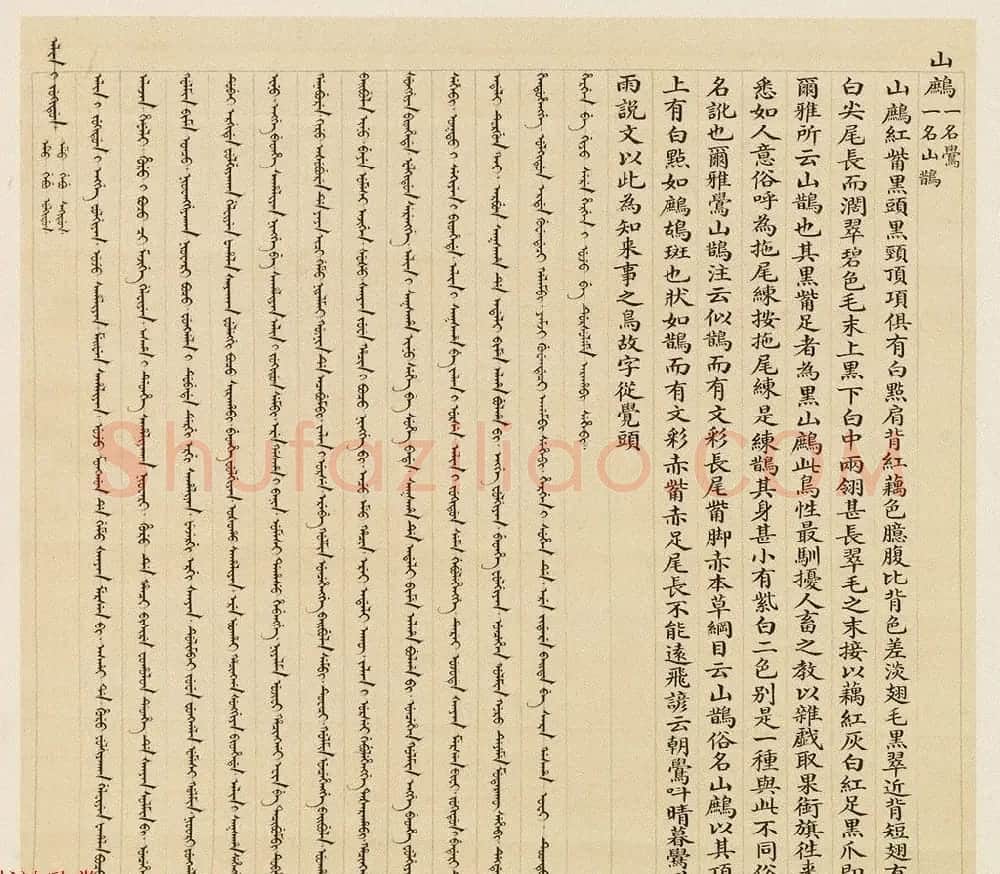 汉文满文字画欣赏《清人鸟谱册》 | 传世书法作品欣赏