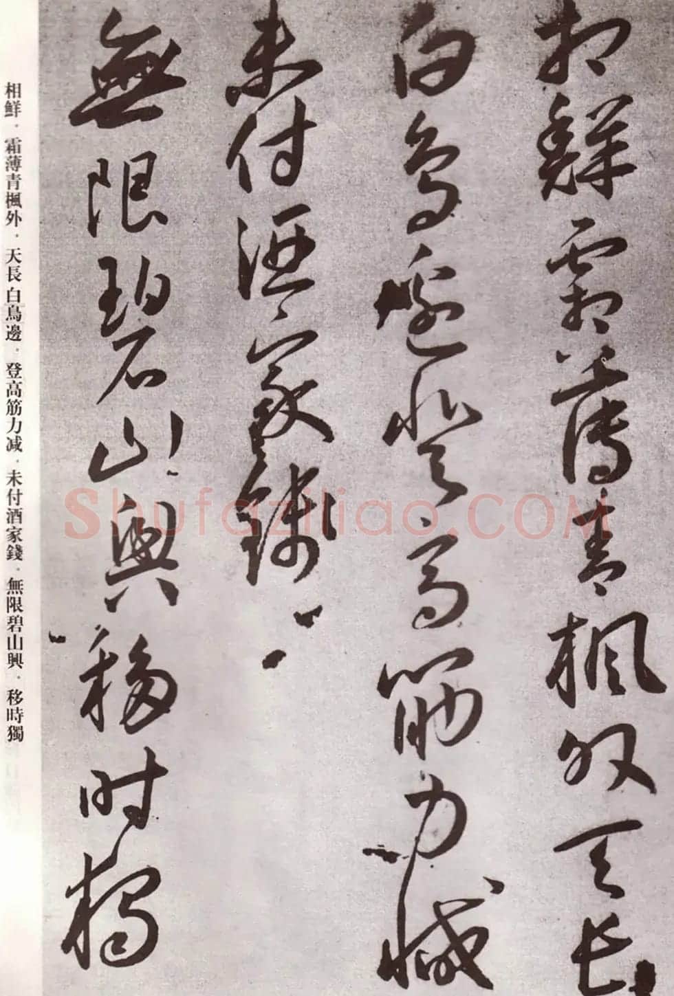 明代书法家王宠行草自书杂诗 | 名家书法作品精选