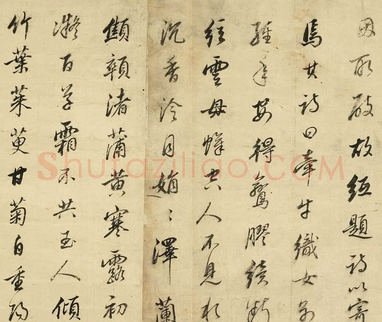 董其昌行书《桑寄生传》册 | 毛笔书法作品