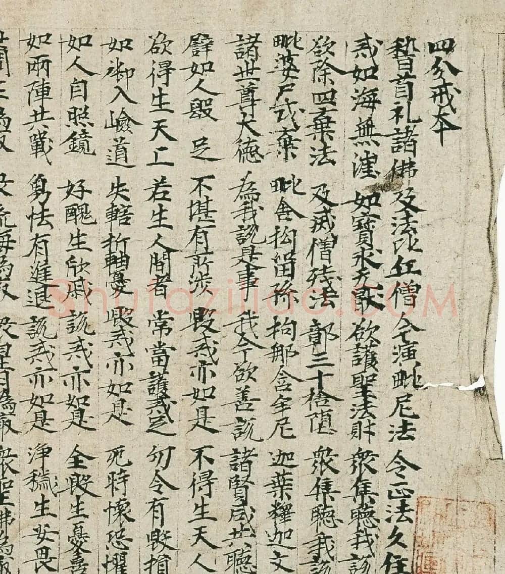 唐代静法楷书写《四分戒本》 | 敦煌写经鉴赏