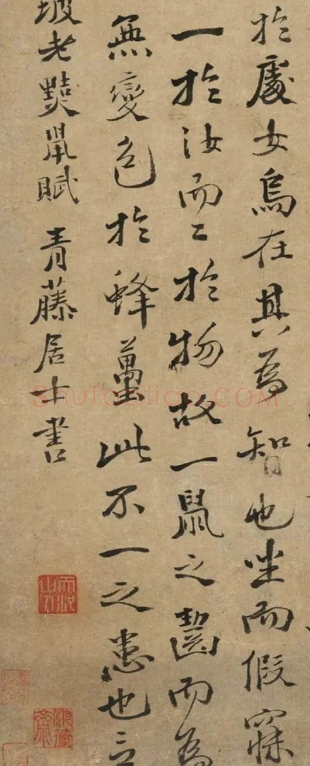 徐渭行楷书《录苏轼黠鼠赋》 | 书法名家作品欣赏