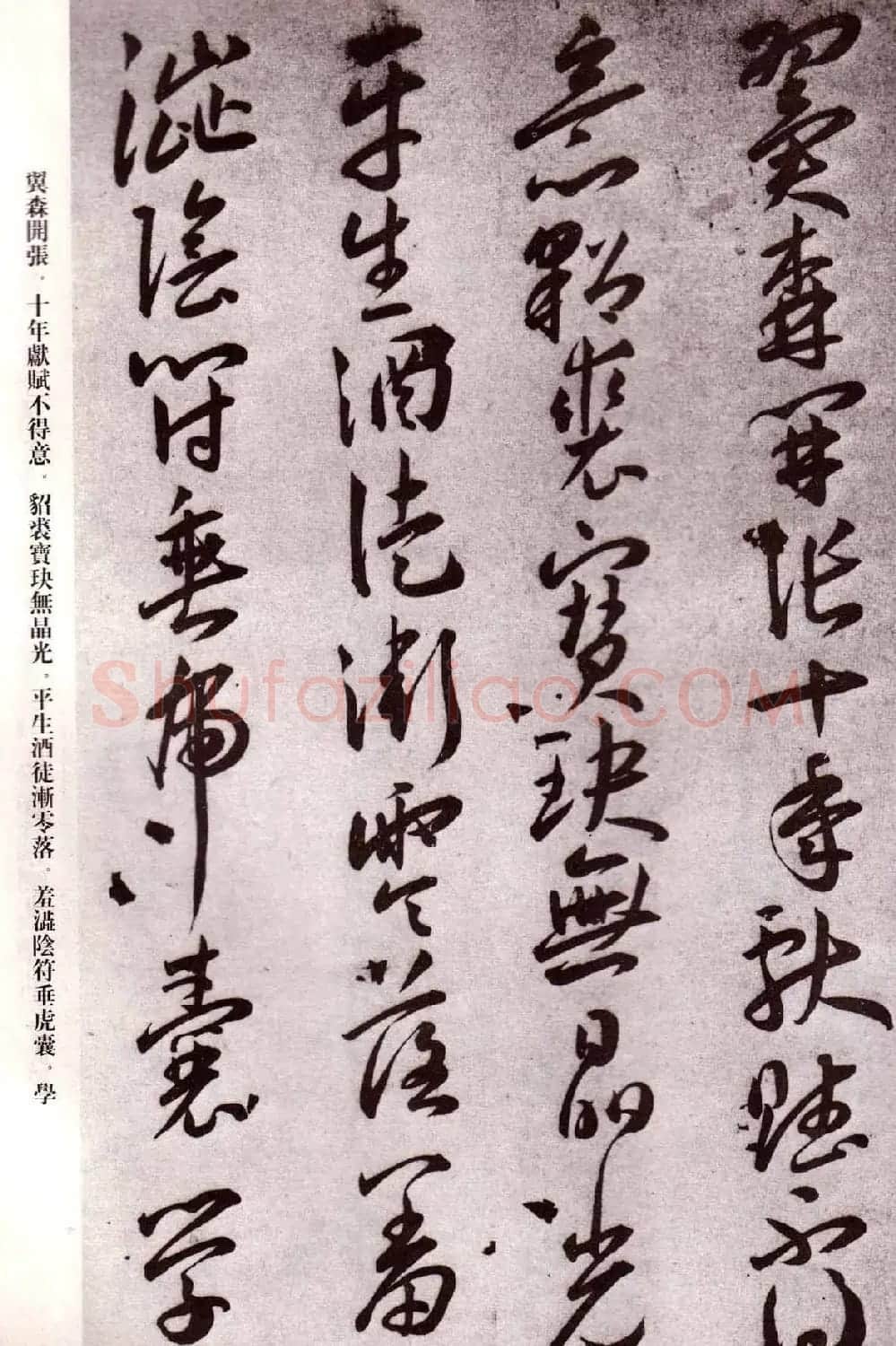 明代书法家王宠行草自书杂诗 | 名家书法作品精选