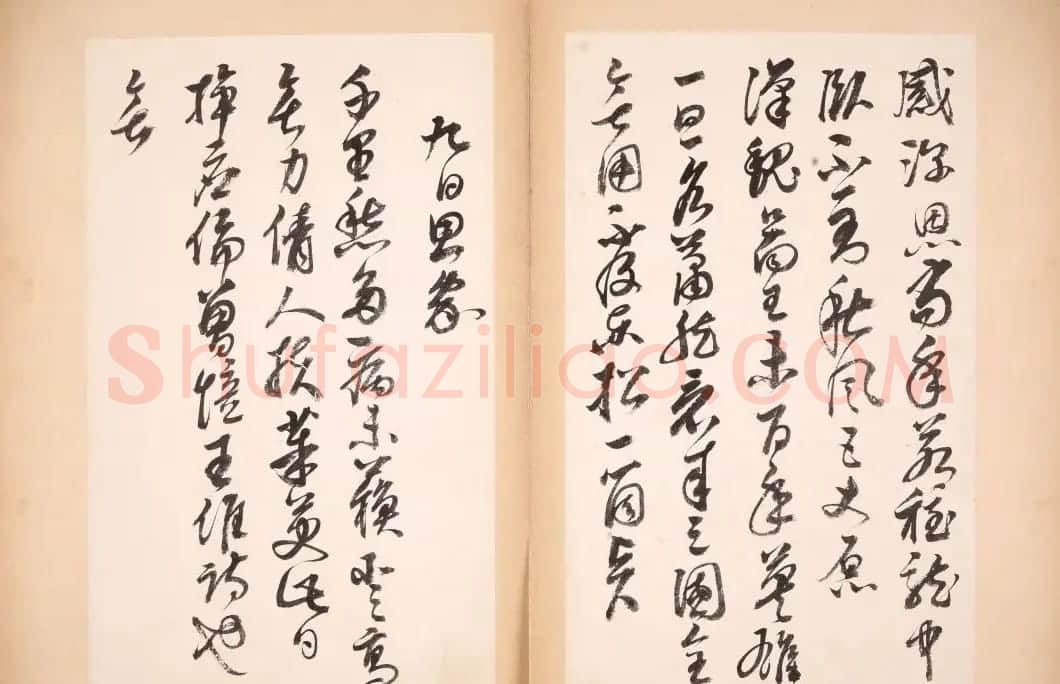 明代女书画家邢慈静草书欣赏 | 名家书法作品赏析