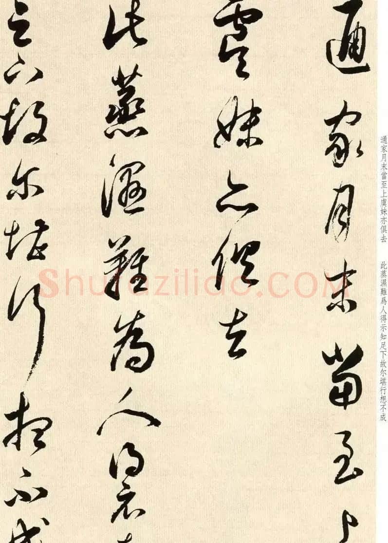 明代礼部尚书董其昌临淳化阁帖卷八 | 软笔书法作品