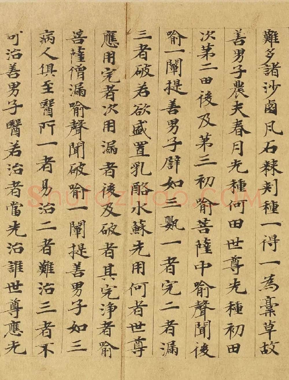 楷书高清大图欣赏《大般涅槃经迦叶菩萨品第十二》 | 敦煌写经欣赏