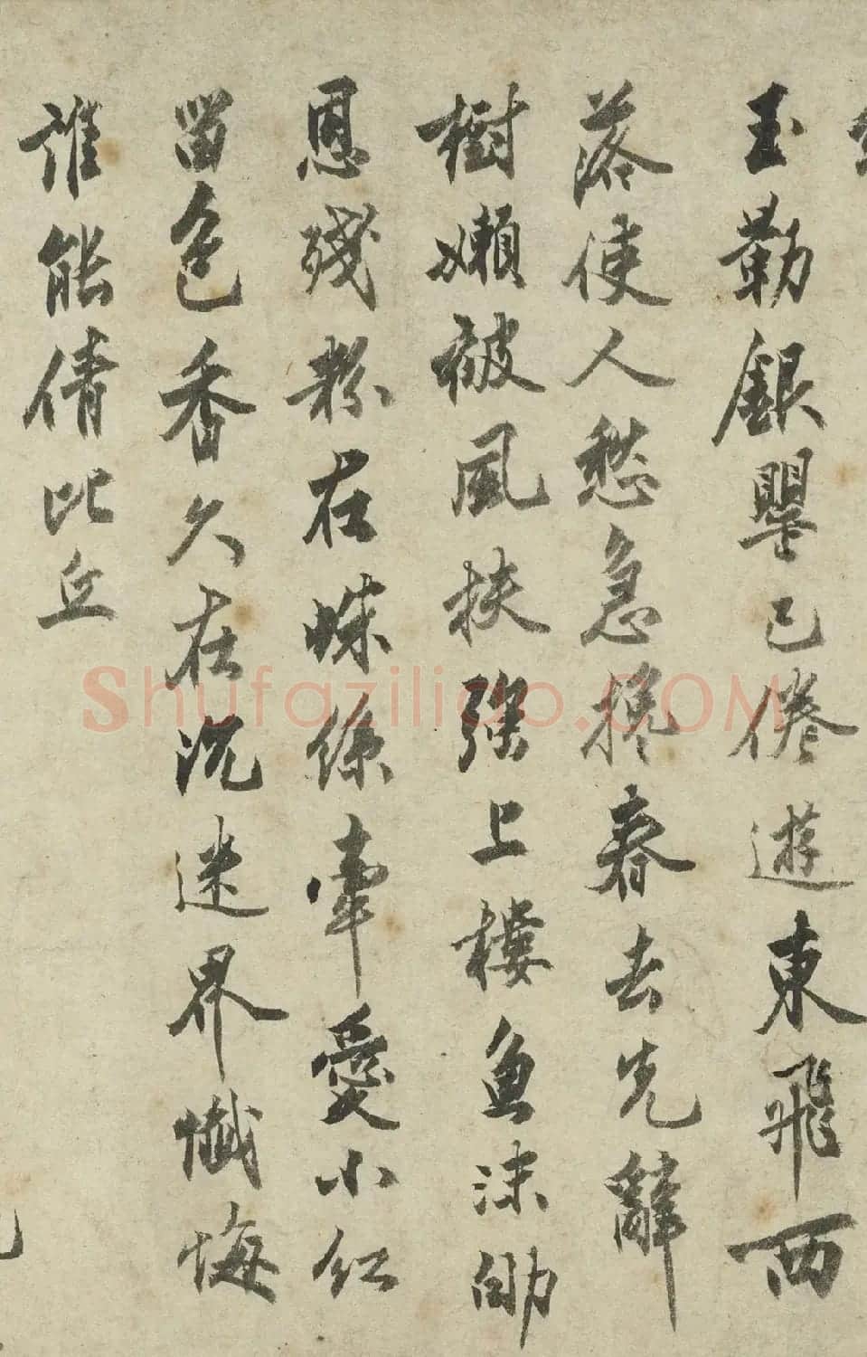 沈周字画《落花图并诗卷》 | 传世书法作品欣赏