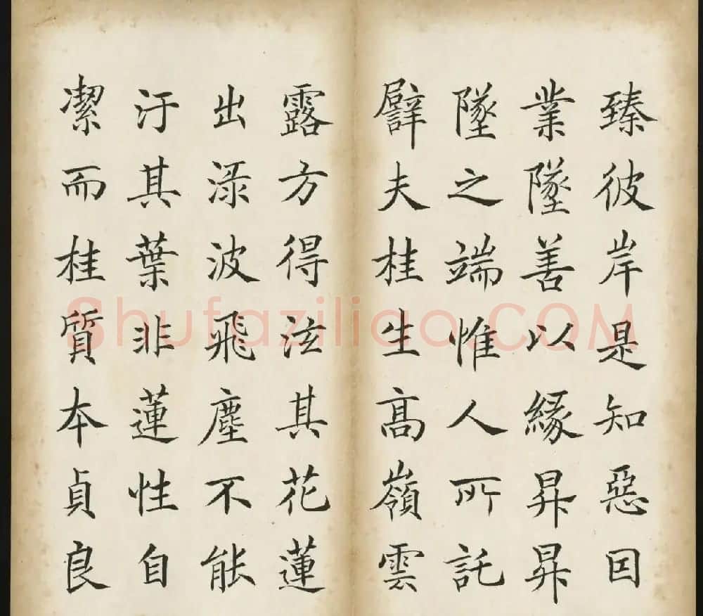 姚孟起楷书《三藏圣教序记》 | 软笔楷书字帖