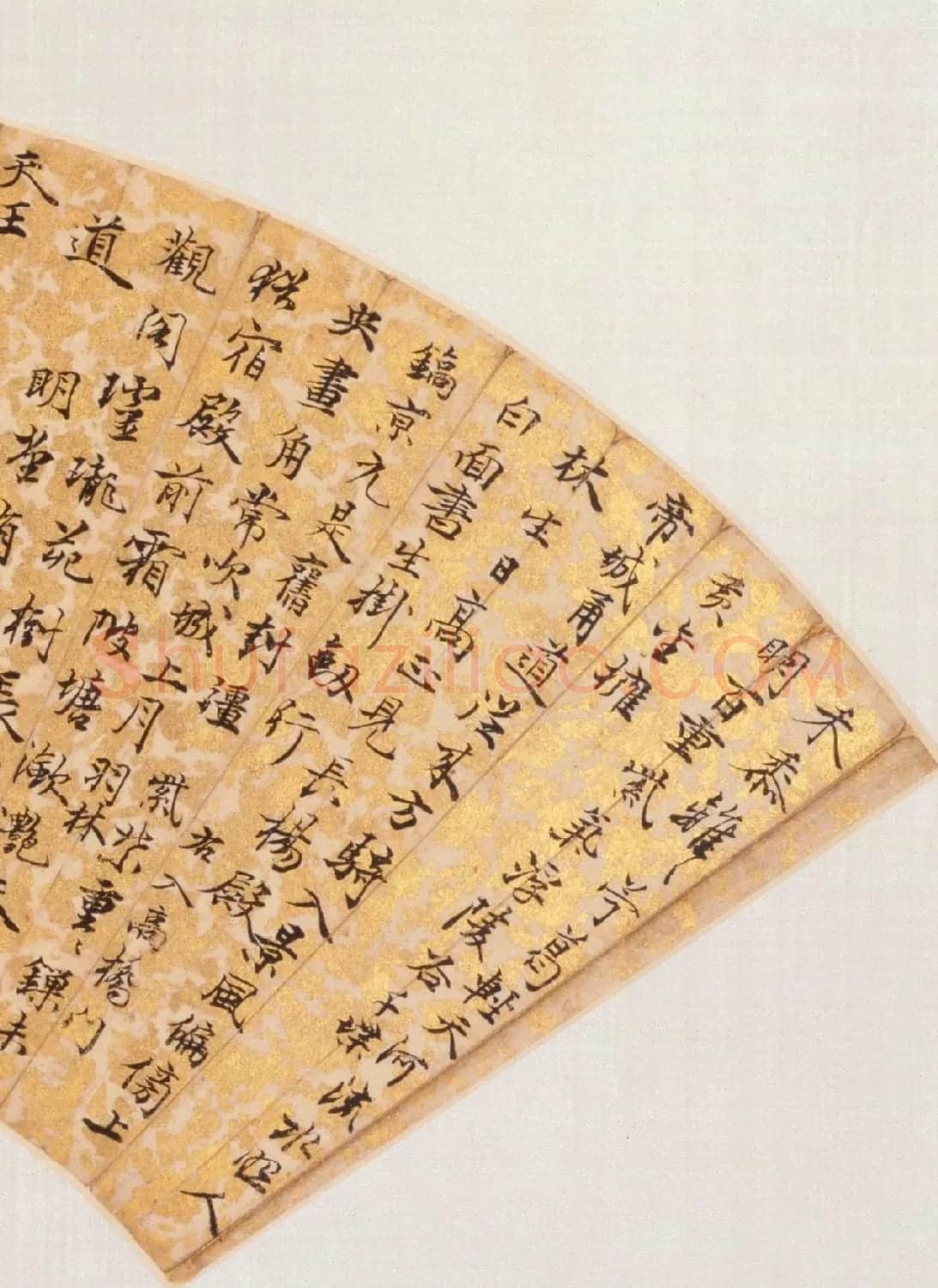 明代蔡羽书法扇面作品专辑 | 名家书法作品赏析