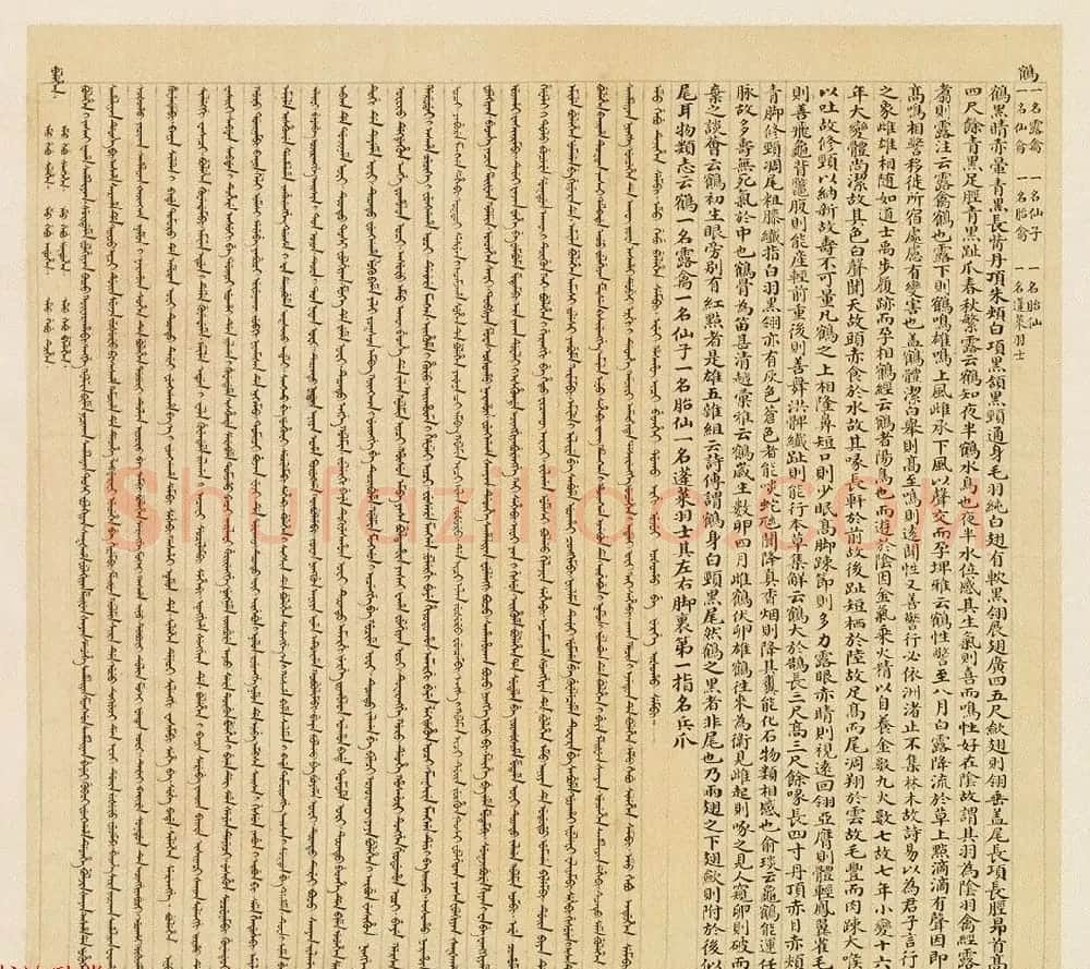 汉文满文字画欣赏《清人鸟谱册》 | 传世书法作品欣赏