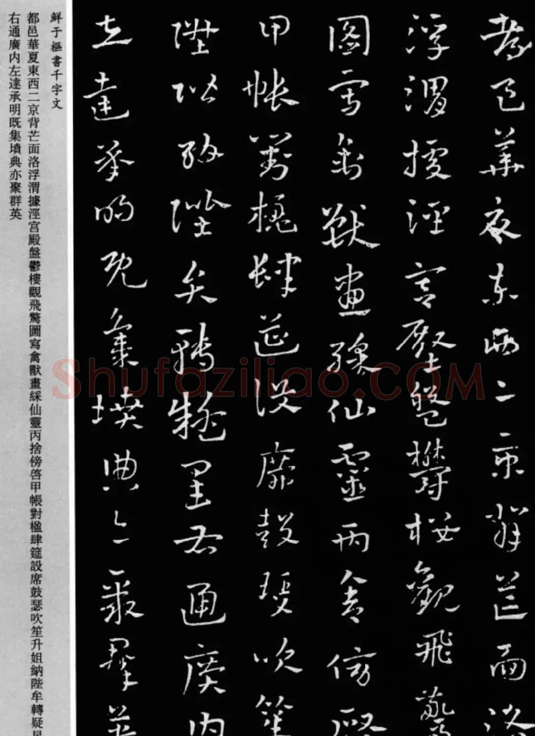 鲜于枢章草书法欣赏《千字文》大图 | 软笔草书字帖