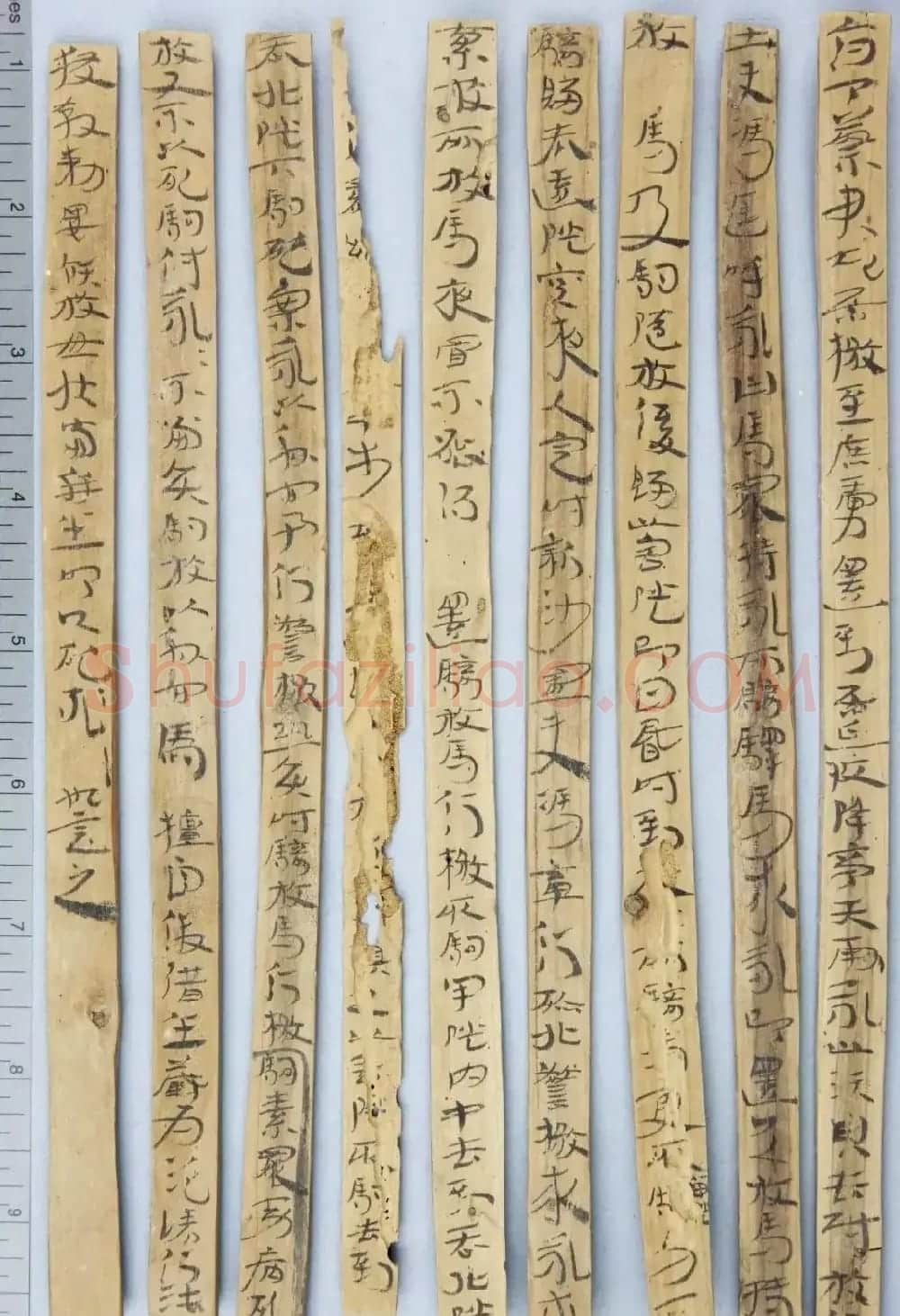 东汉章草隶体木简《误死马驹册》 | 书法作品欣赏