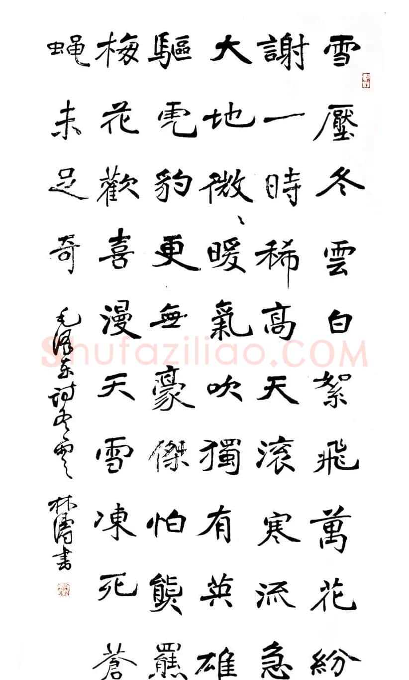 甘肃书协秘书长林涛行草书欣赏 | 书法作品欣赏