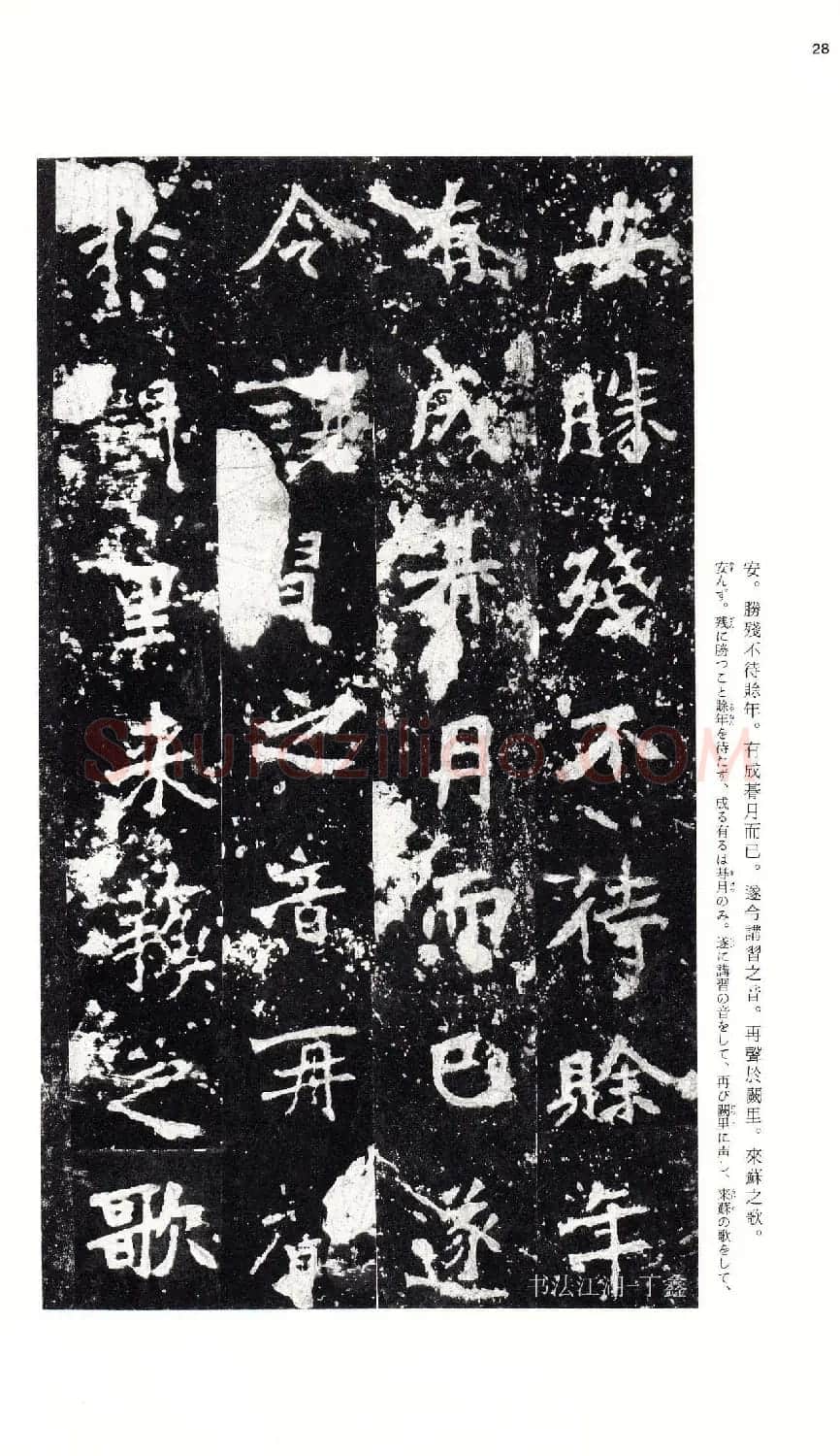 北魏《张猛龙碑》附释文 | 书法碑帖