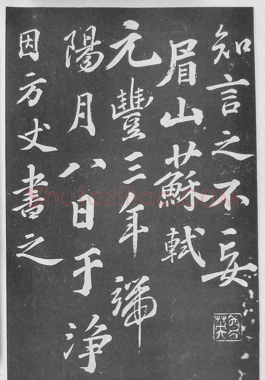 苏轼书法《净因院画记》欣赏 | 毛笔书法作品