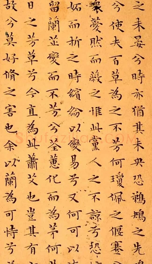 文徵明81岁小楷《离骚经》2种 | 名家书法作品精选