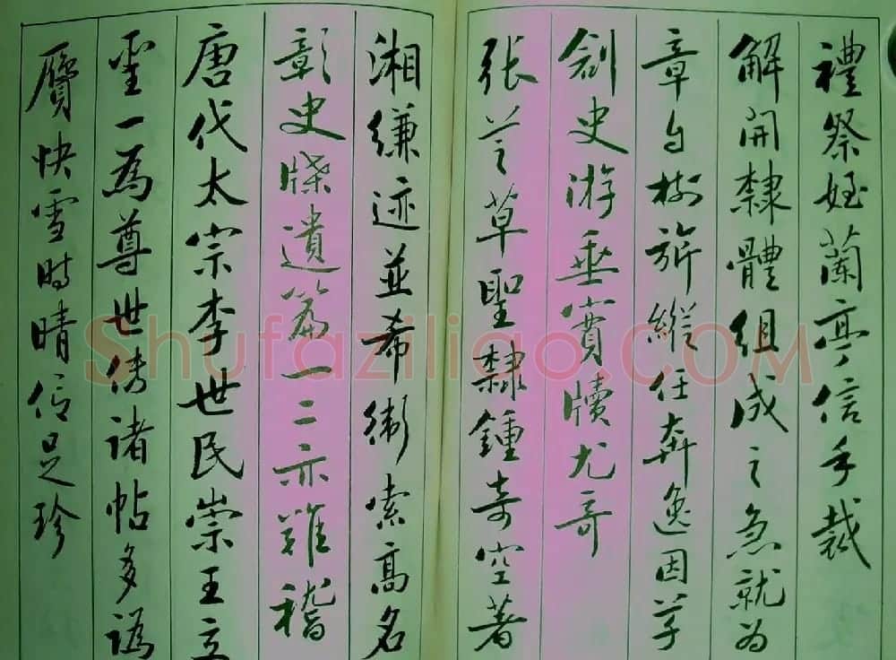 青少年行书范本《廖蕴玉著并书.论书七绝句一百首》 | 软笔行书字帖
