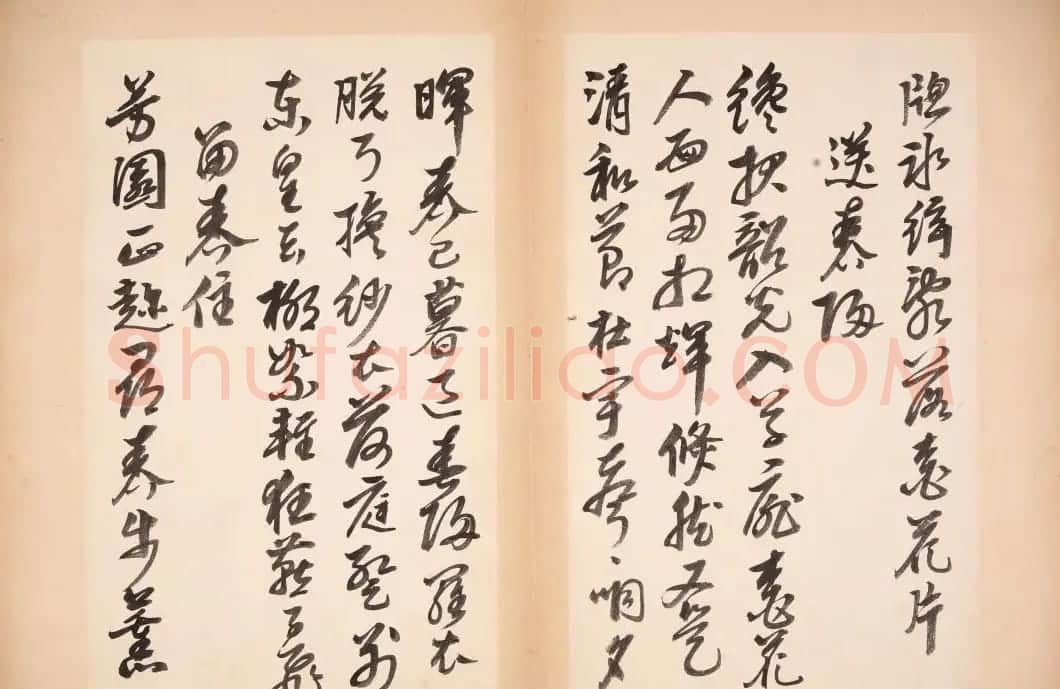 明代女书画家邢慈静草书欣赏 | 名家书法作品赏析