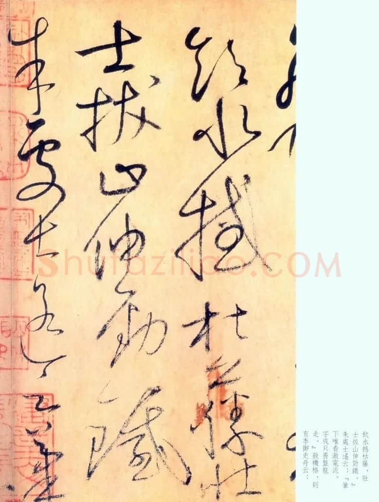 怀素草书《自叙帖》书法图片45P | 书法碑帖