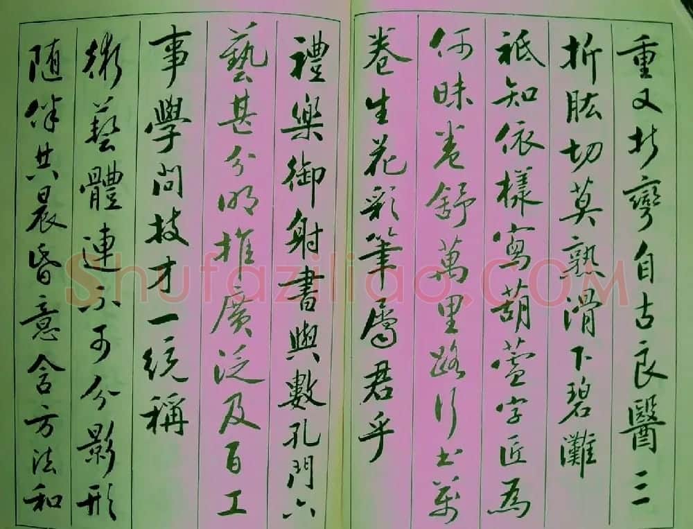 青少年行书范本《廖蕴玉著并书.论书七绝句一百首》 | 软笔行书字帖