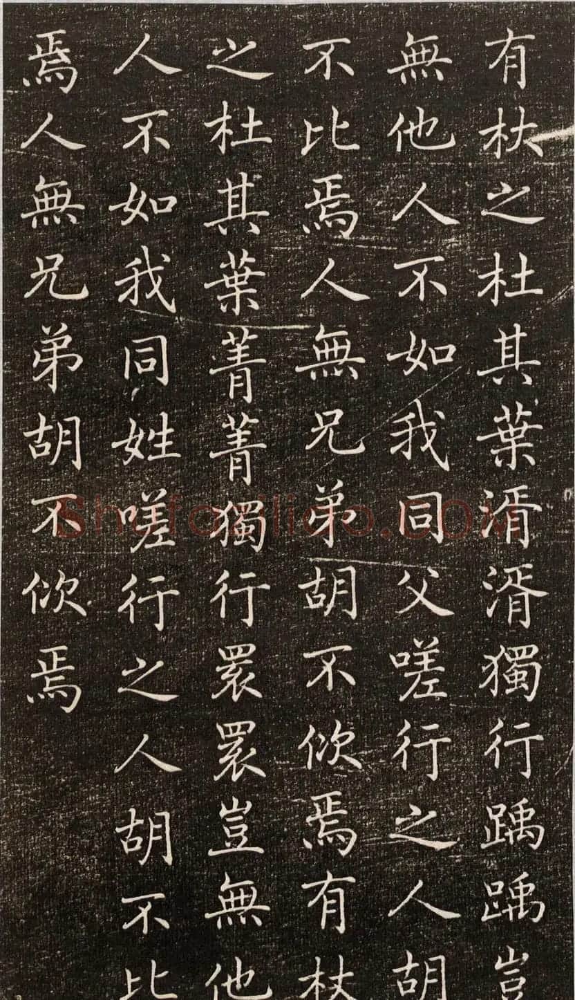 唐朝宰相褚遂良小楷《诗唐风》 | 书法碑帖