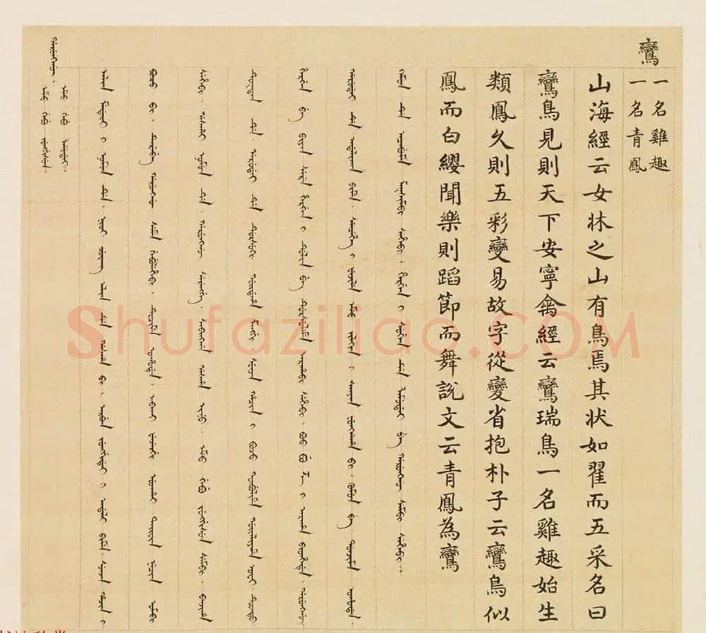 汉文满文字画欣赏《清人鸟谱册》 | 传世书法作品欣赏