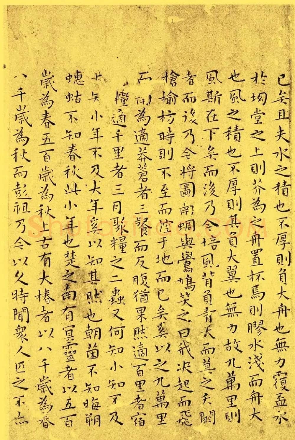 明代书法家王宠小楷欣赏《南华真经内七篇》 | 书法名家作品欣赏