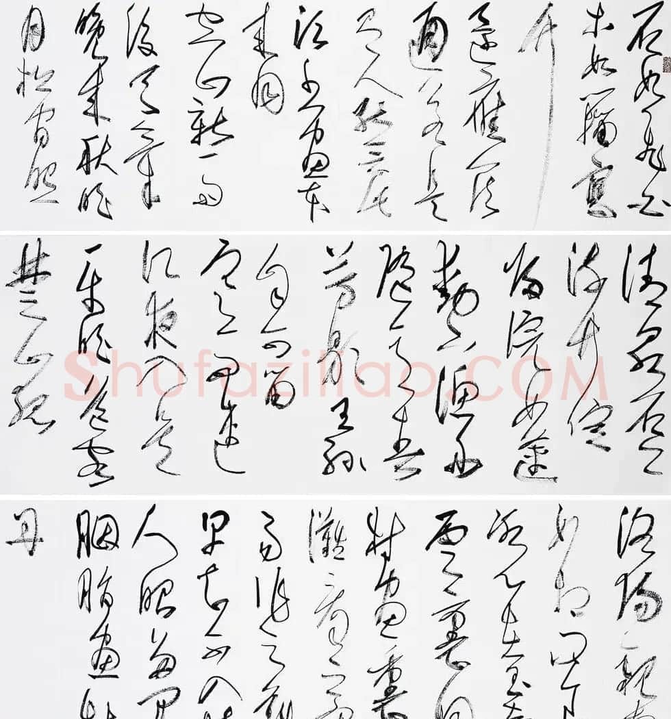 知镰草书册页《金泽珊大草诗册》 | 毛笔书法作品