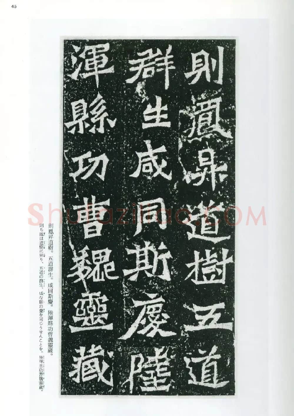 魏碑书法精品《龙门二十品》上册二玄社高清版 | 书法碑帖