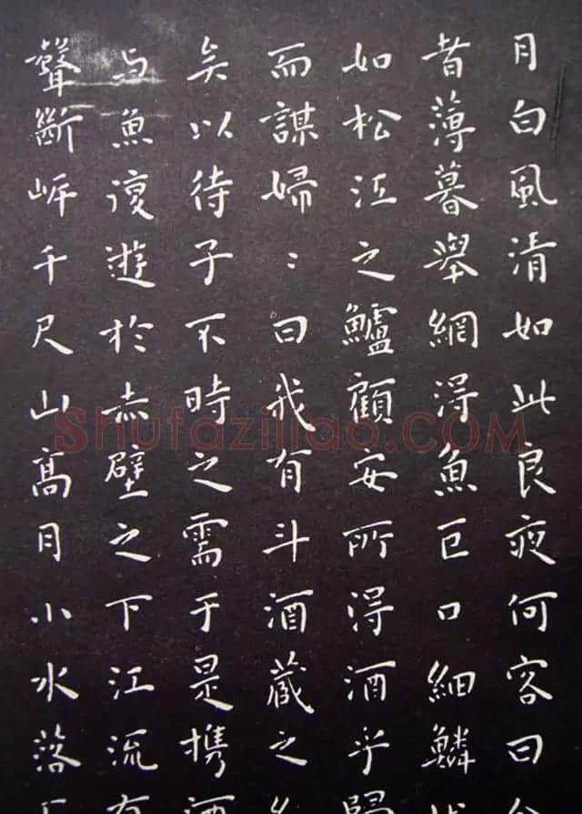 明代王宠小楷书法《前后赤壁赋》 | 名家书法作品精选