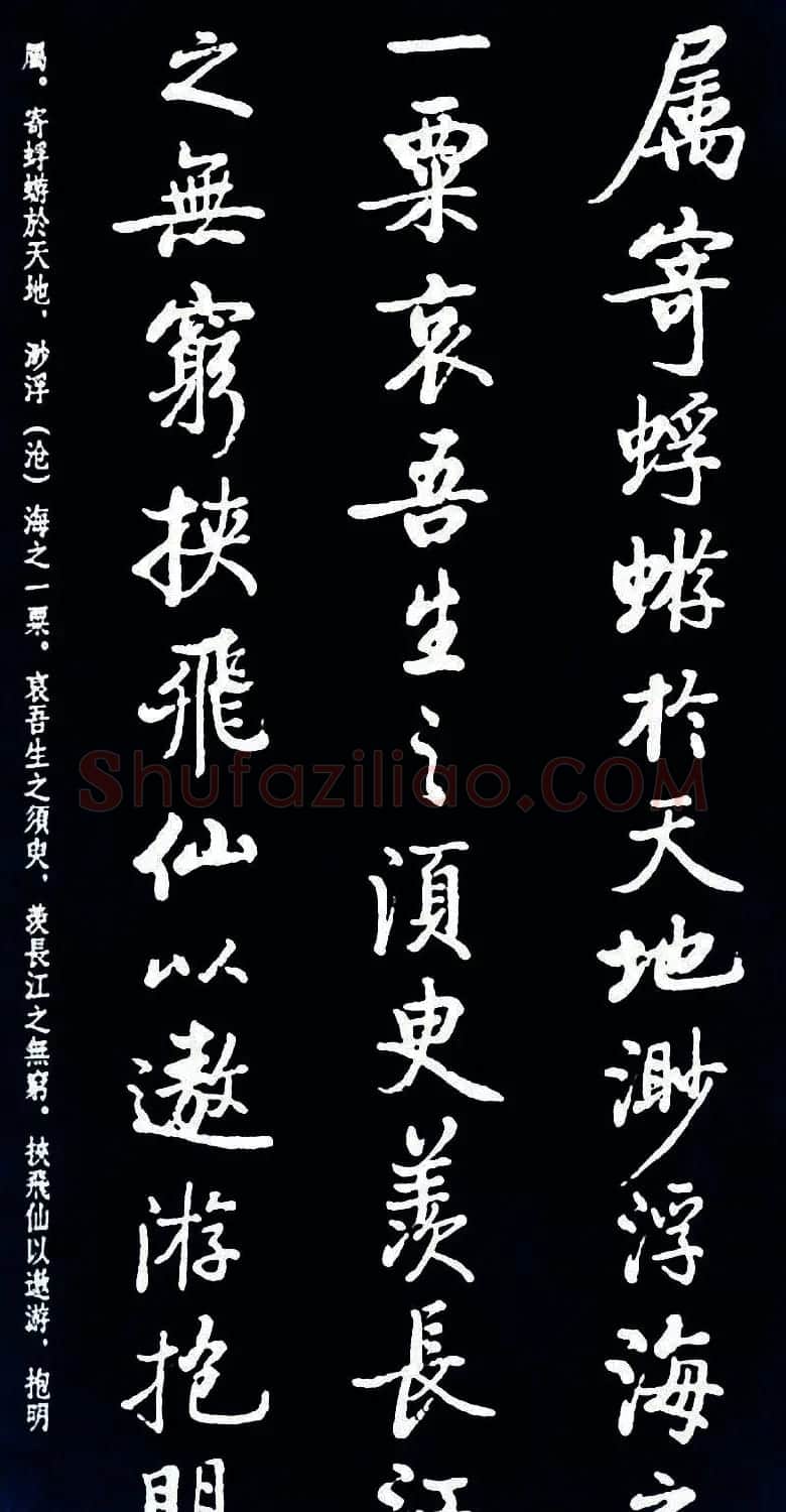 启功书法《临苏东坡前后赤壁赋》 | 毛笔书法作品