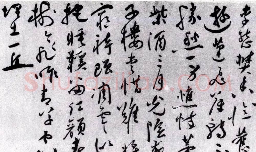 祝允明草书欣赏《唐寅落花诗八首》 | 书法名家作品欣赏