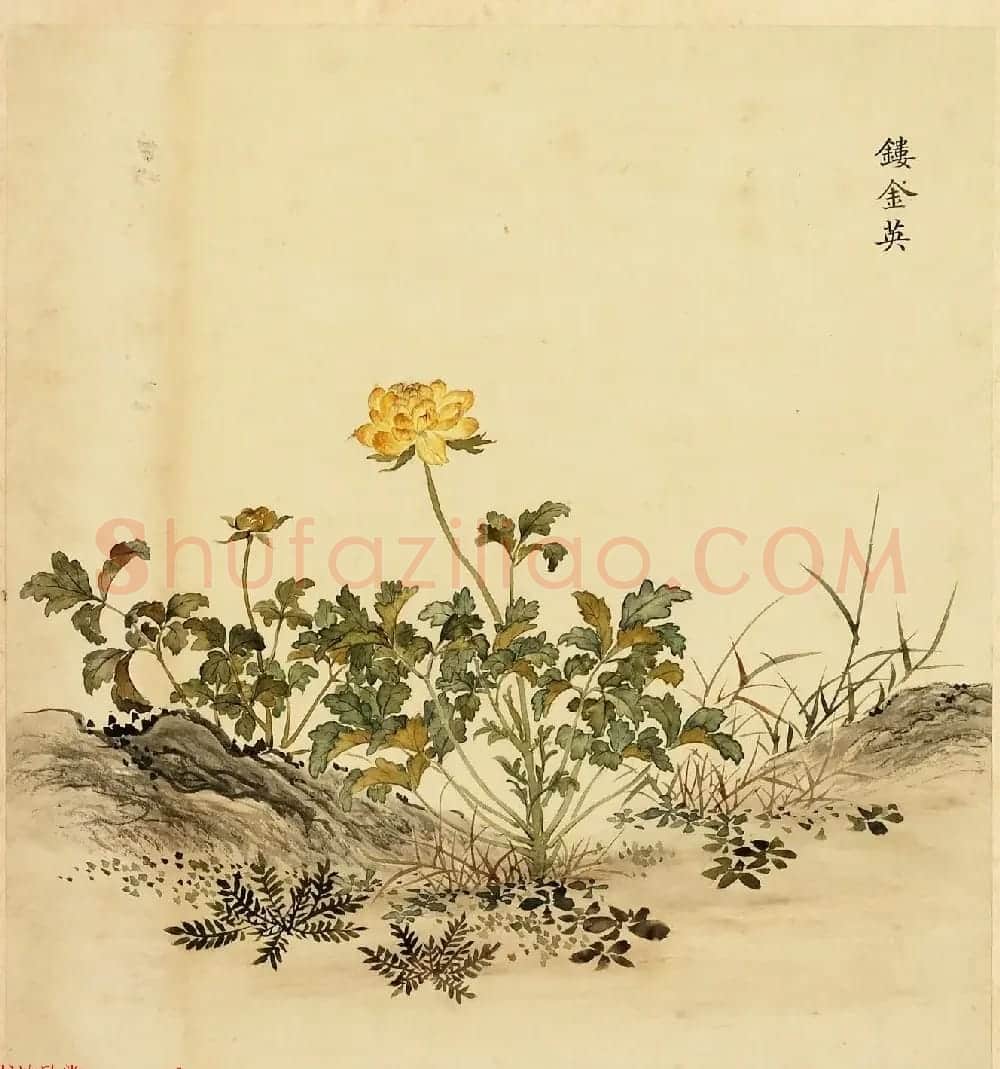 字画册页《海西杂卉》余省绘画+于敏中书法 | 传世书法作品鉴赏