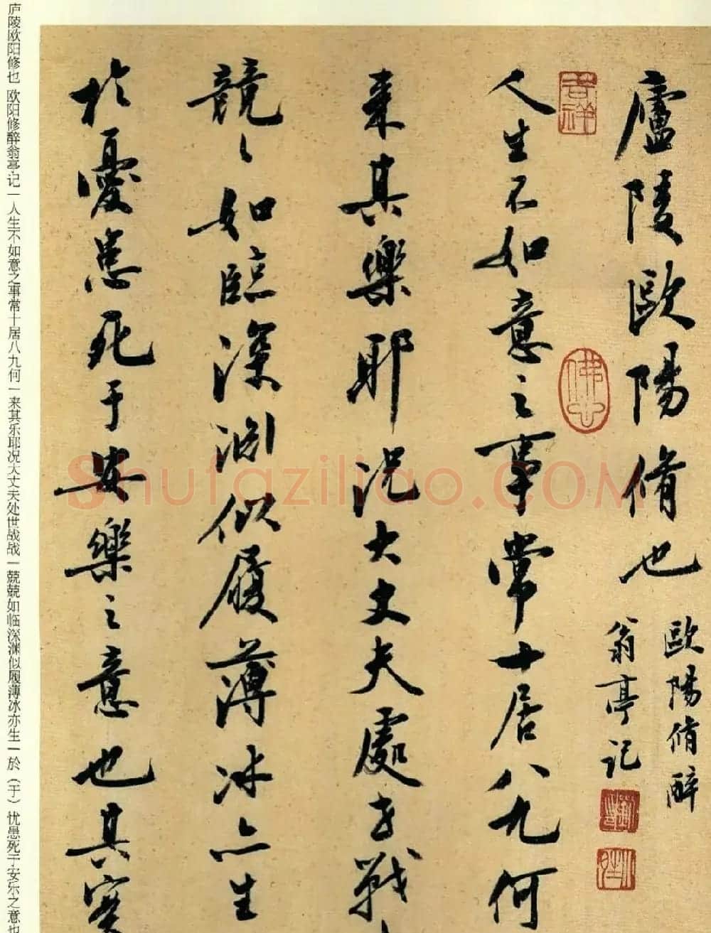 刘小晴书法行书《醉翁亭记》 | 软笔行书字帖