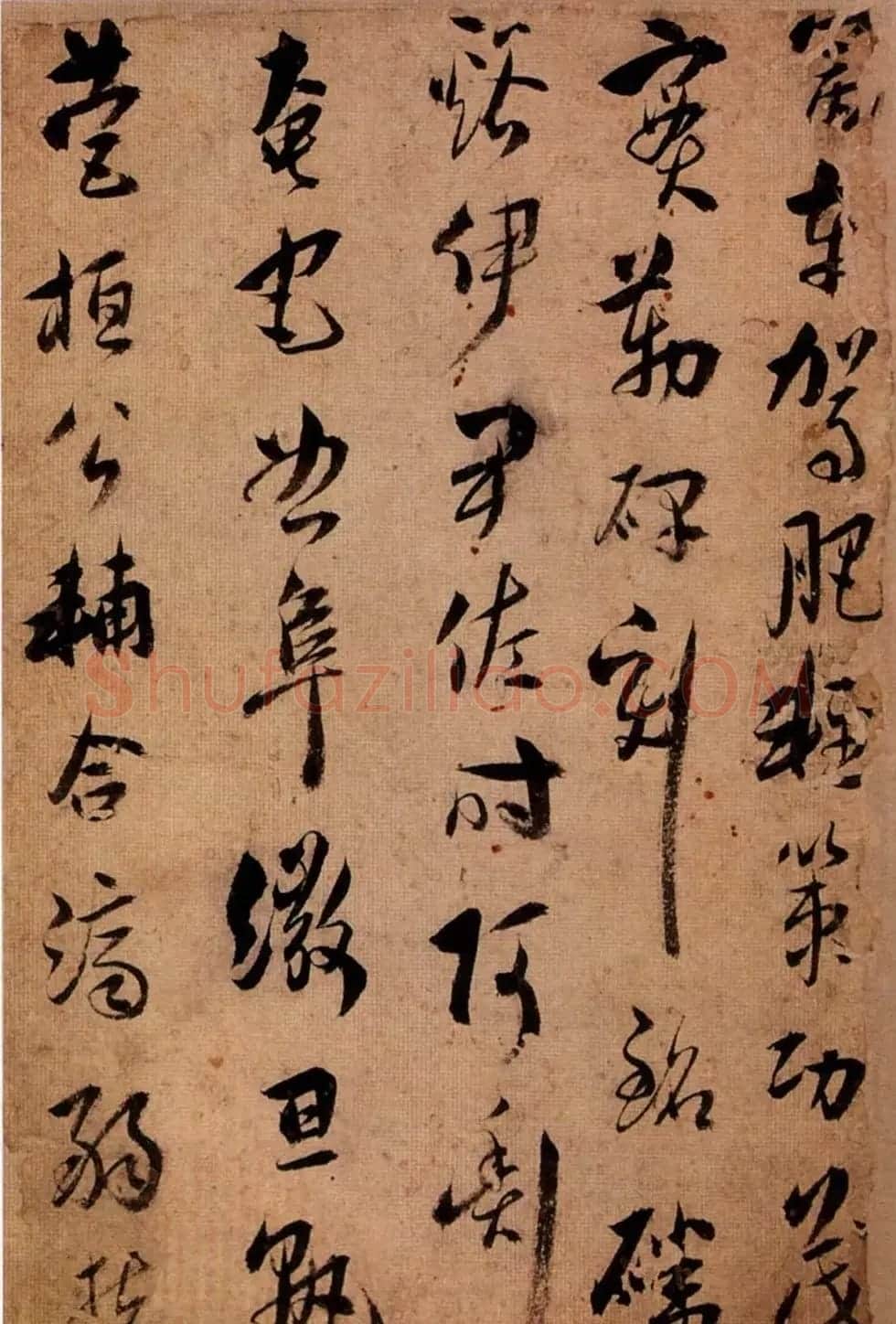 王应华草书欣赏《千字文册》 | 毛笔草书字帖