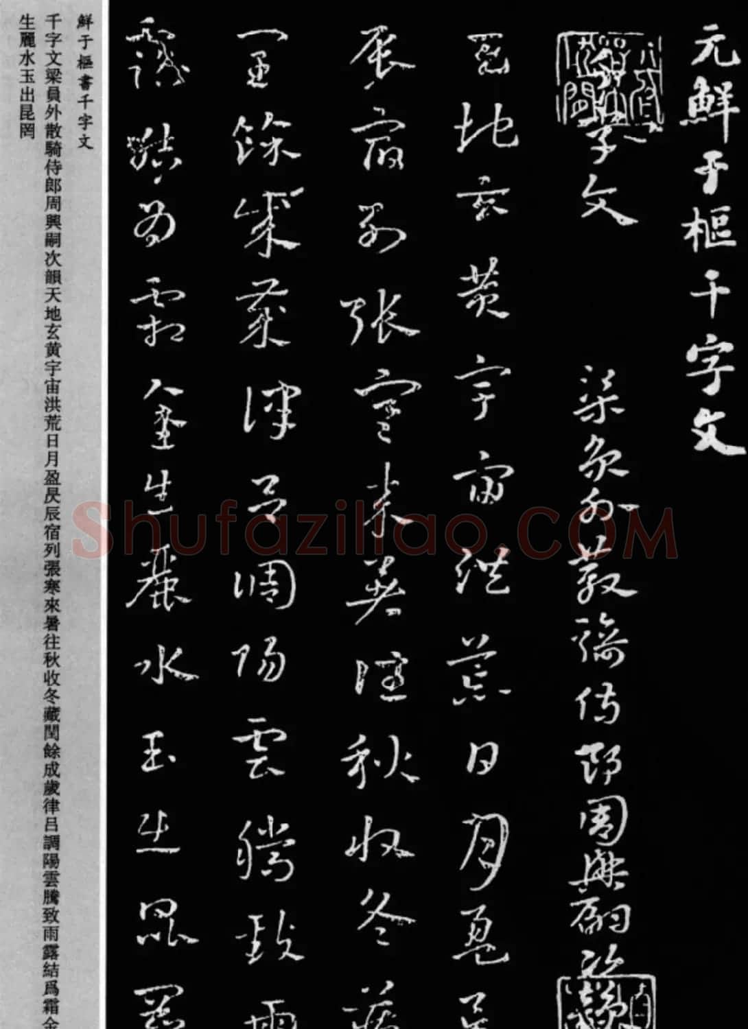 鲜于枢章草书法欣赏《千字文》大图 | 软笔草书字帖