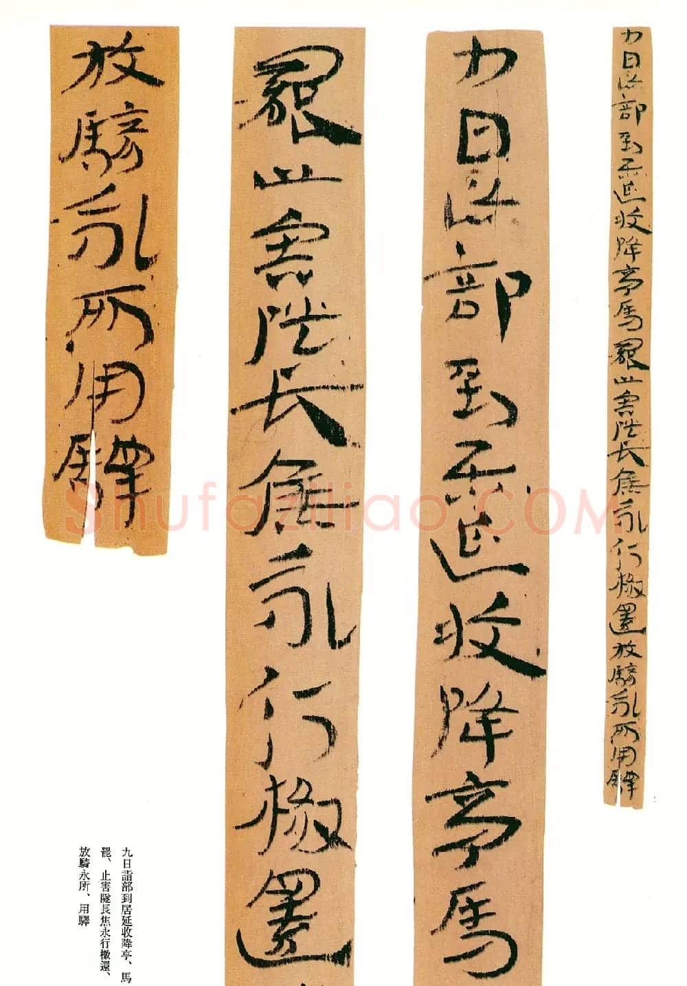 东汉章草隶体木简《误死马驹册》 | 书法作品欣赏