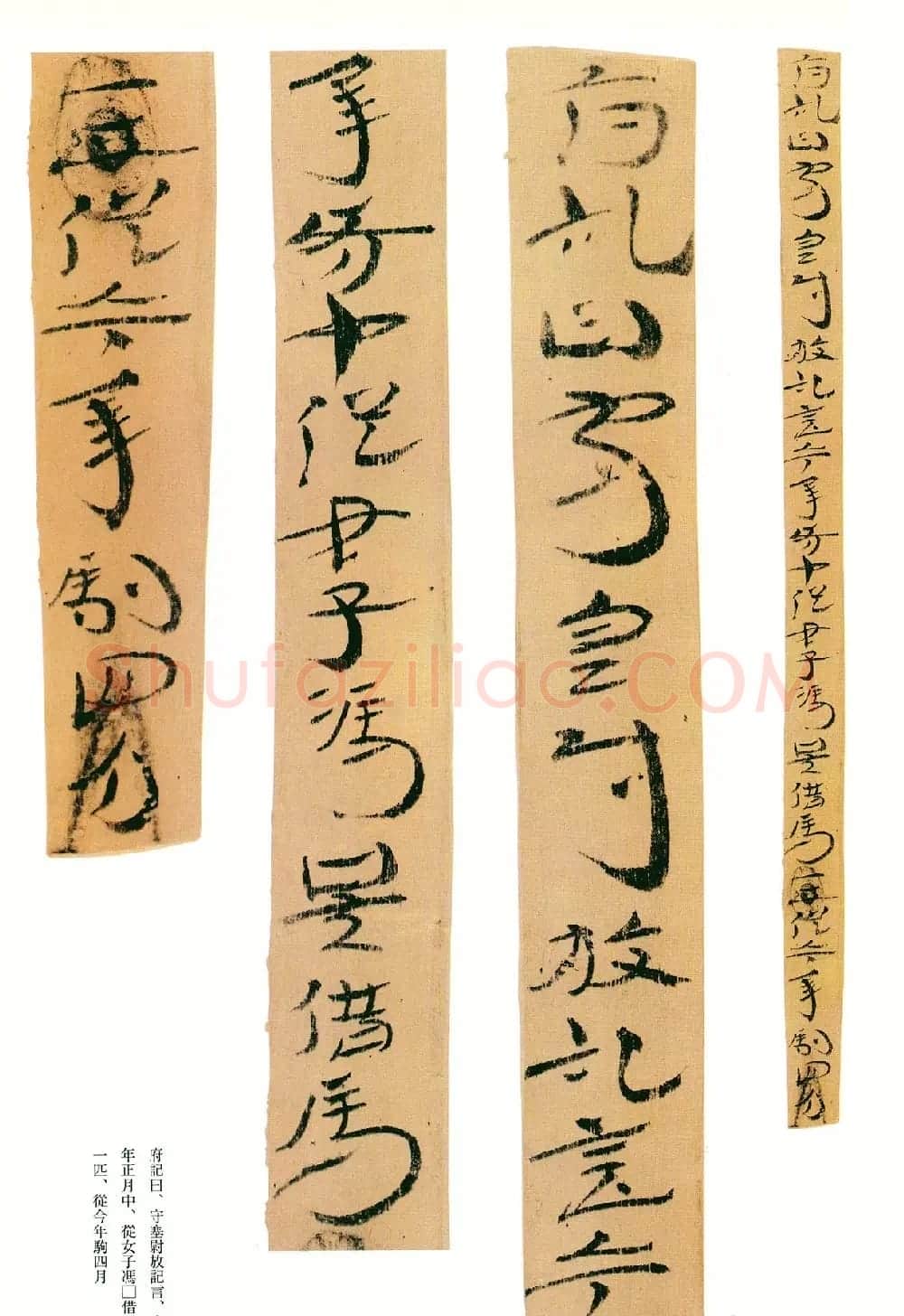 东汉章草隶体木简《误死马驹册》 | 书法作品欣赏