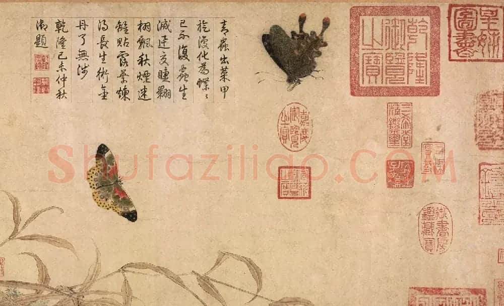 北宋宫廷画家赵昌绘画赏析《写生蛱蝶图卷》 | 传世书法作品赏析