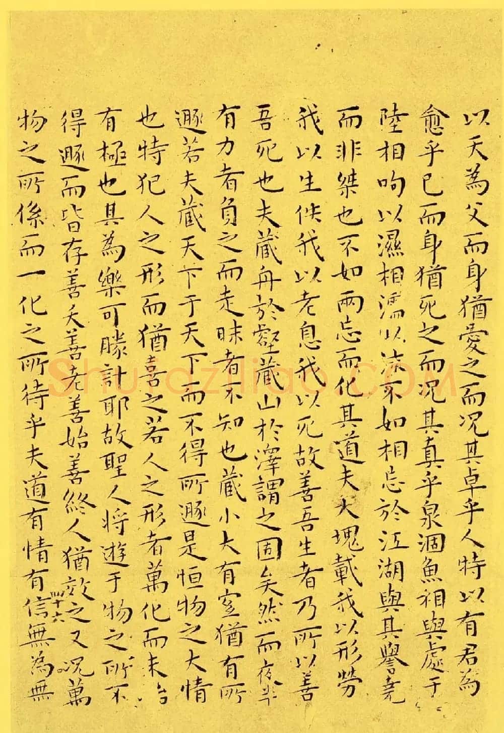 明代书法家王宠小楷欣赏《南华真经内七篇》 | 书法名家作品欣赏