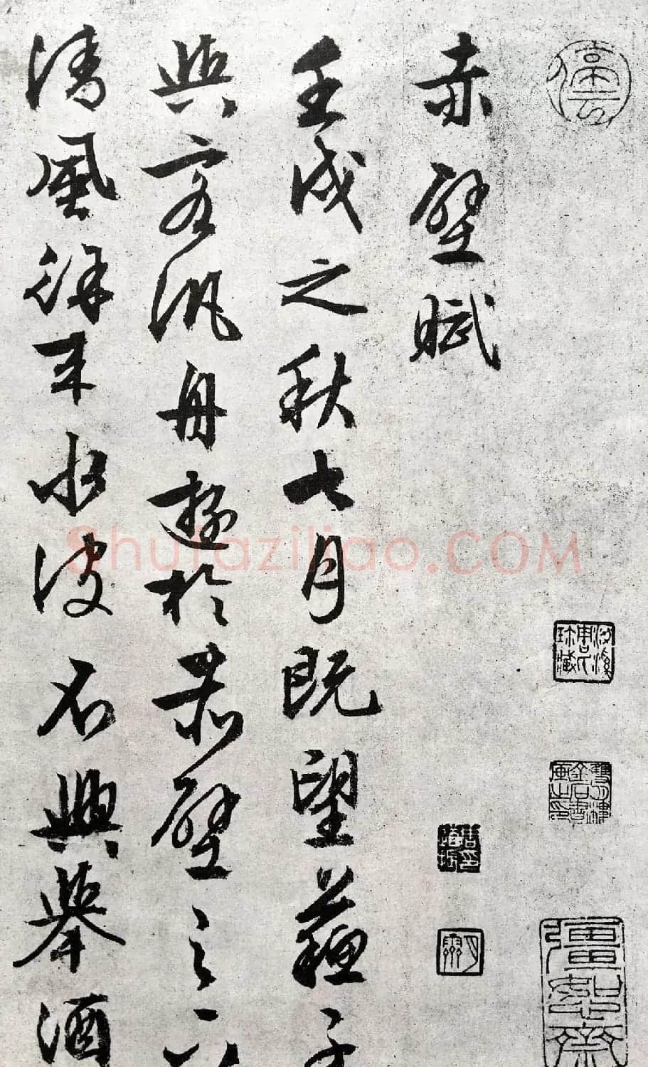 文徵明89岁行草书法欣赏《赤壁赋》 | 软笔草书字帖