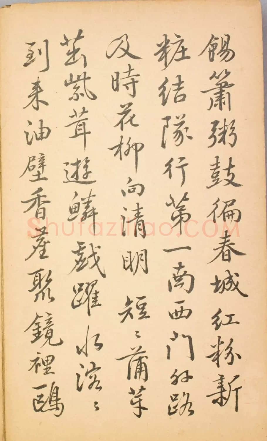 清代毛辉祖等11人书法册页 | 书法作品鉴赏