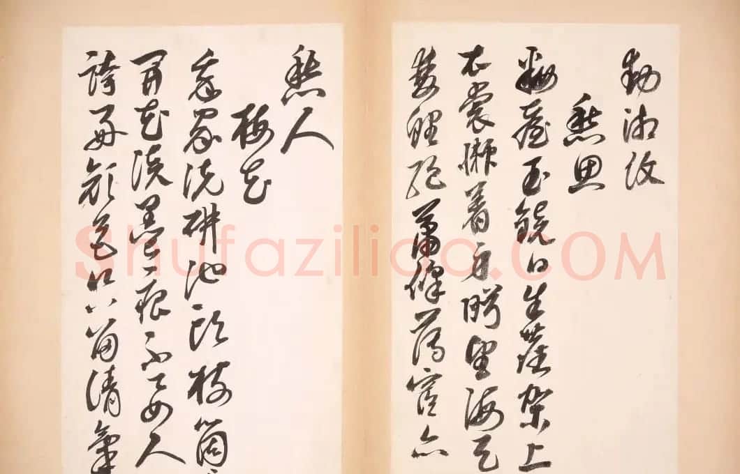 明代女书画家邢慈静草书欣赏 | 名家书法作品赏析