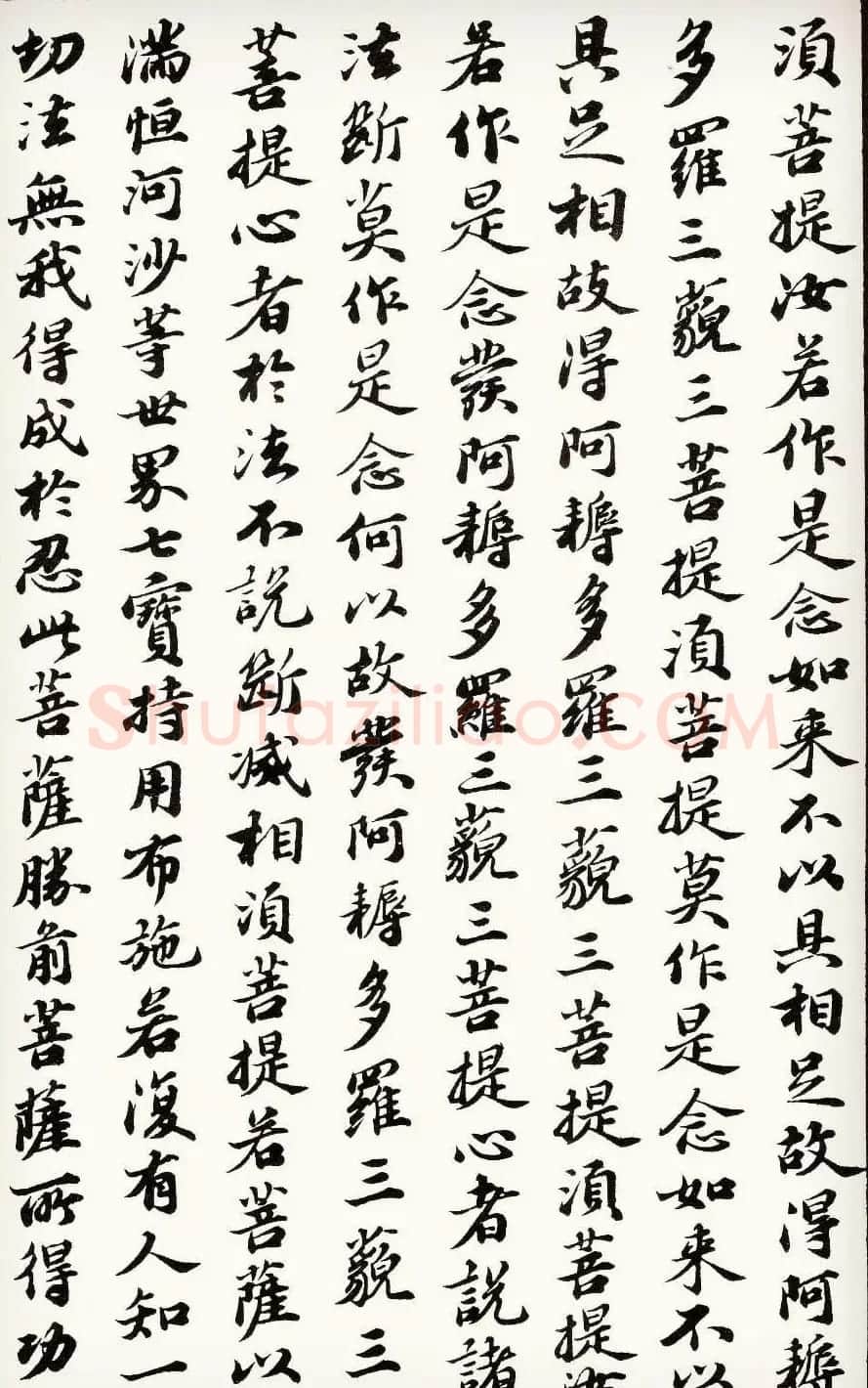 苏轼行楷书法欣赏《金刚经》全本 | 毛笔书法作品