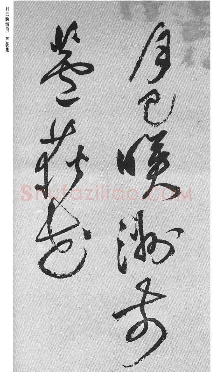 祝允明57岁草书《杜甫秋兴八首》 | 书法名家作品鉴赏