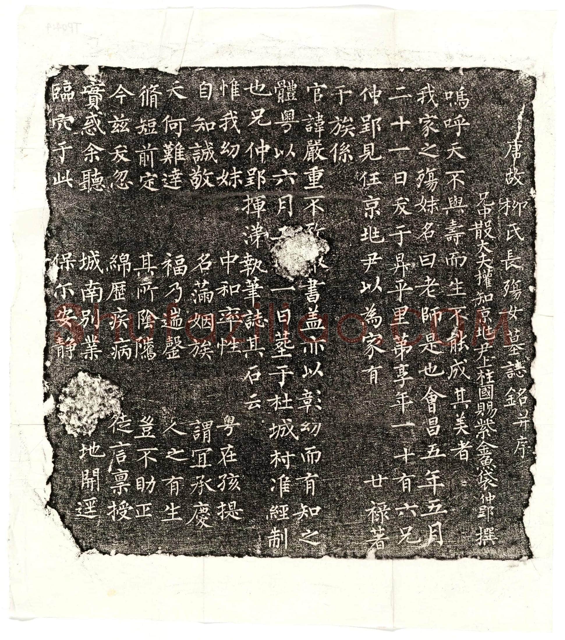 唐 柳老师 墓誌