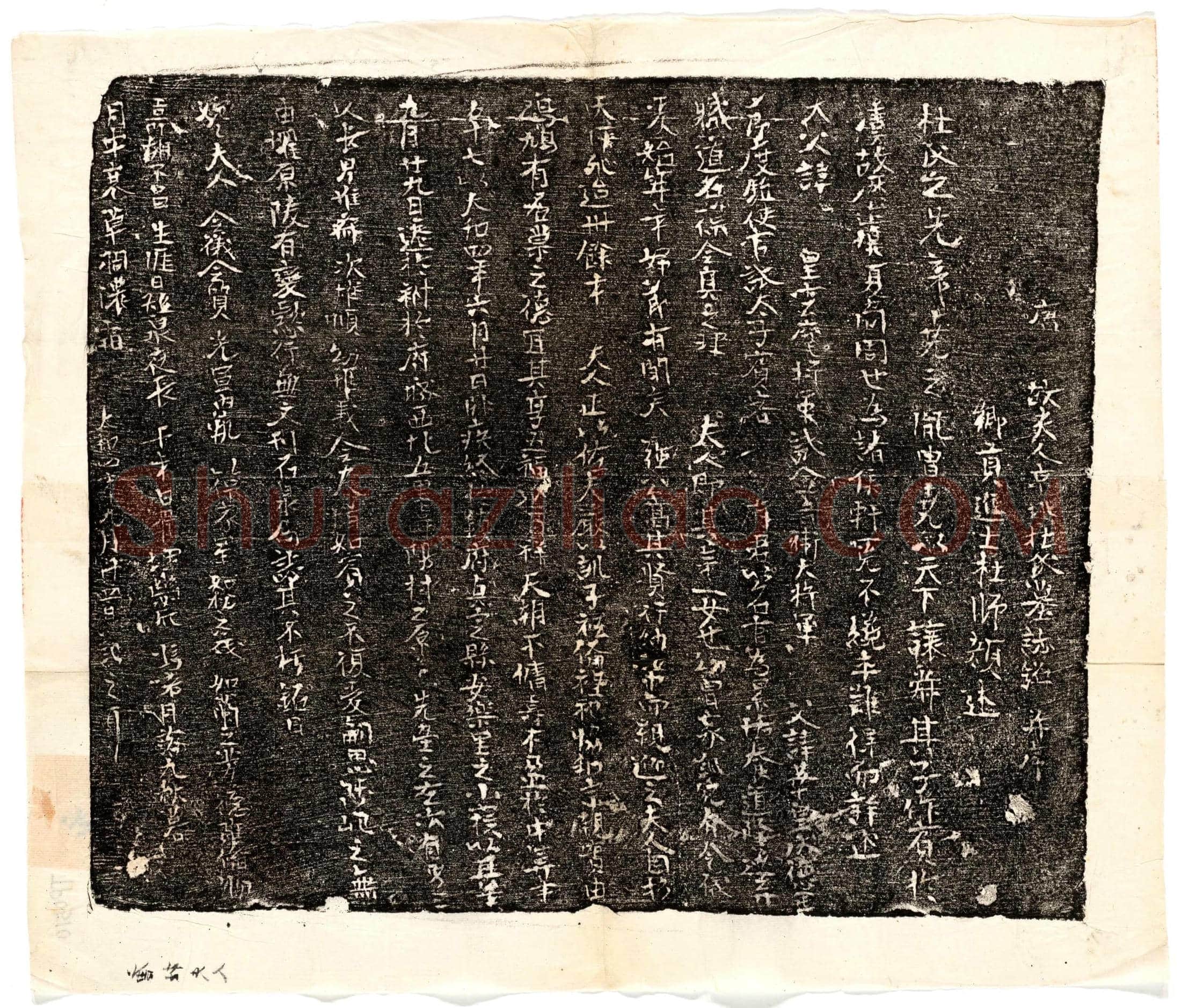 唐 强君妻杜氏 墓誌