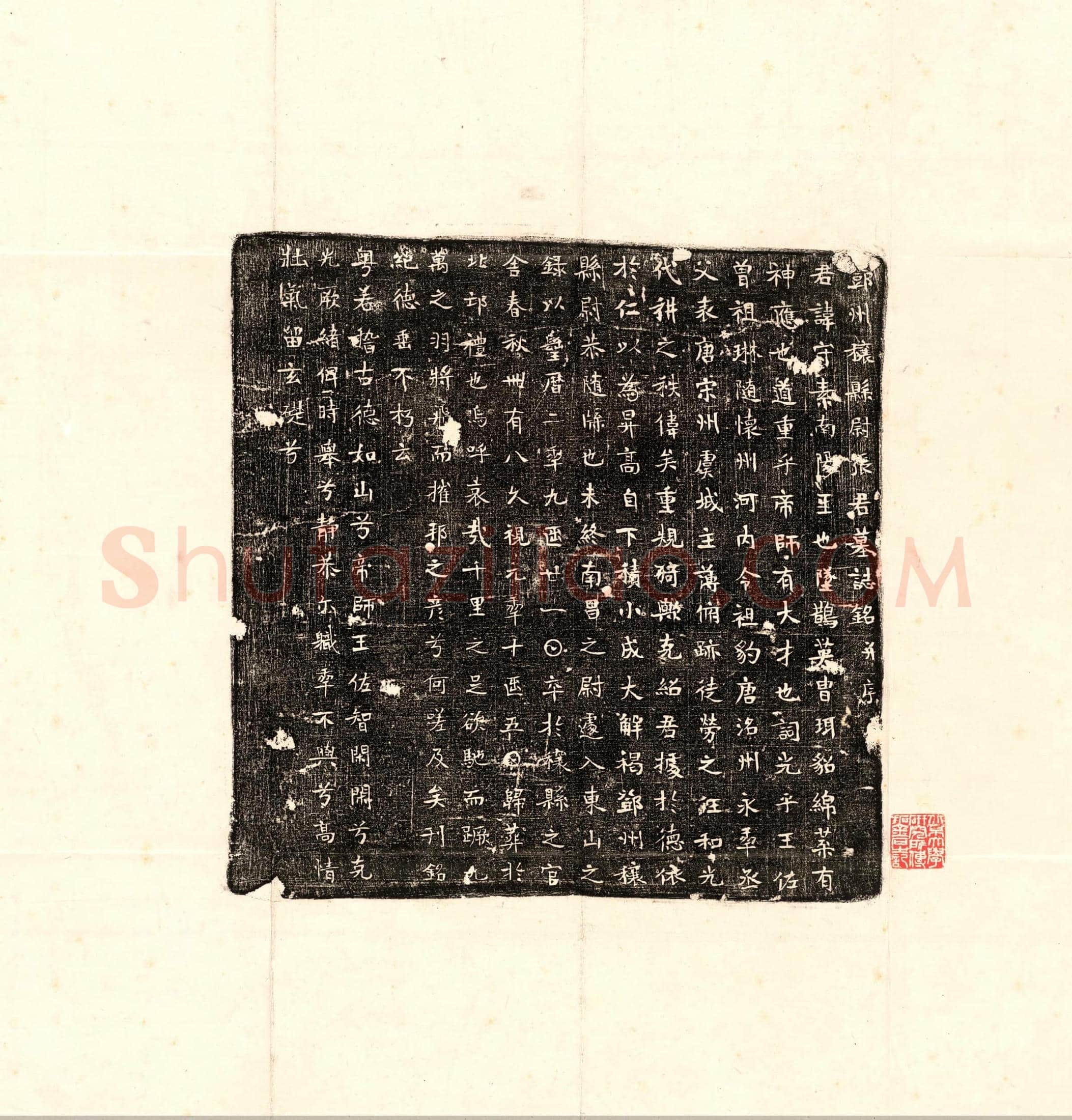 唐张守素墓誌(邓州穰县尉张君墓誌铭并序)