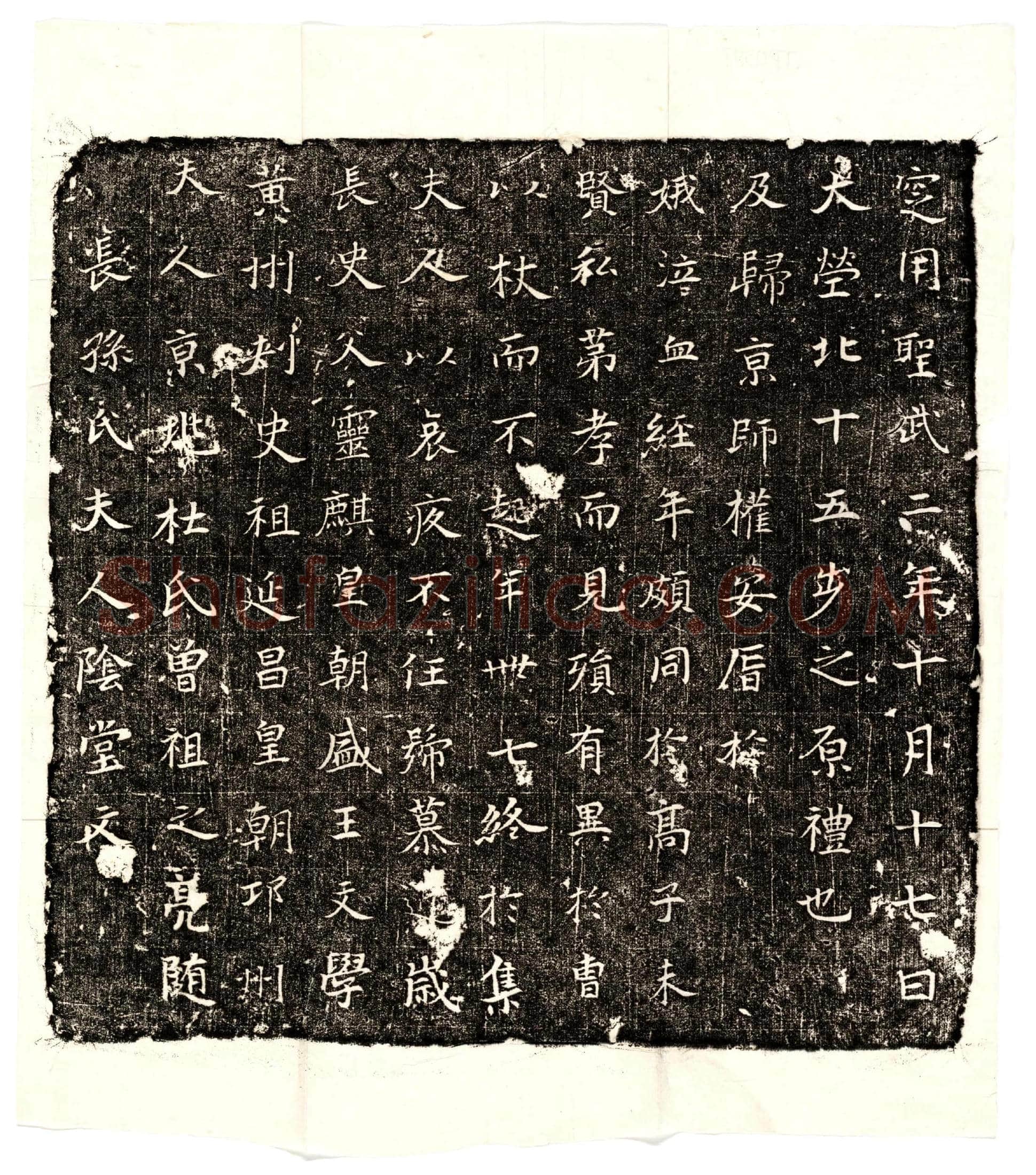 唐 长孙君妻杜氏 墓誌