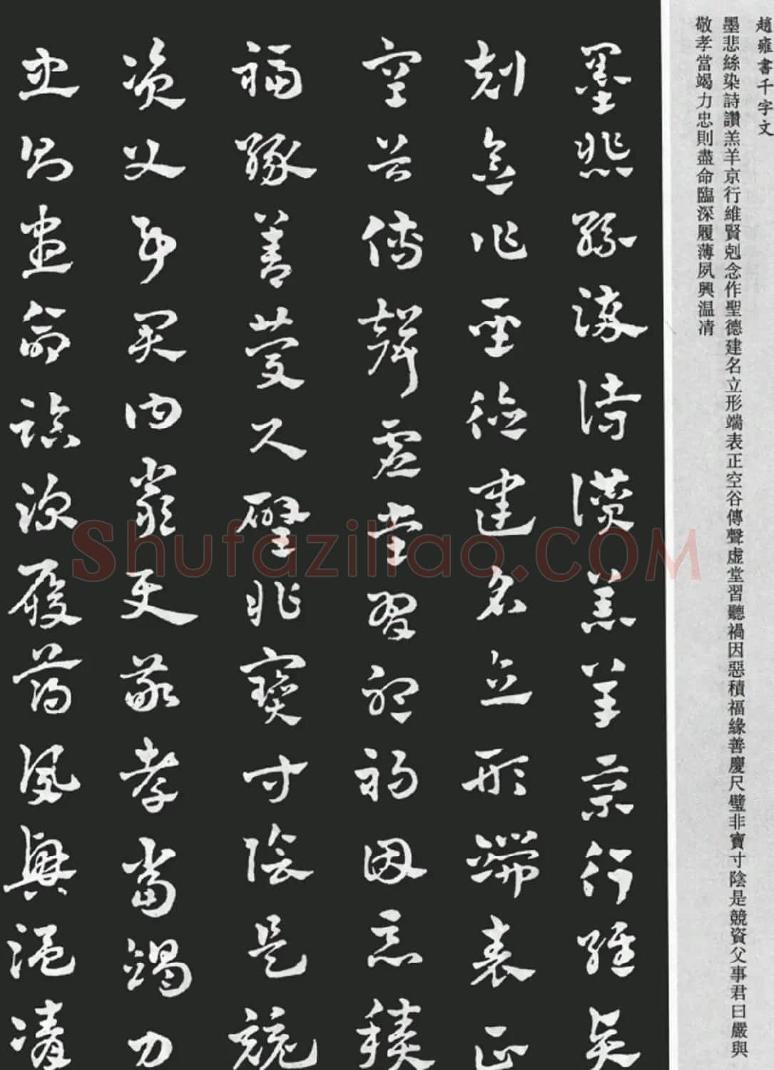 赵雍书法《章草千字文》大图欣赏 | 毛笔草书字帖