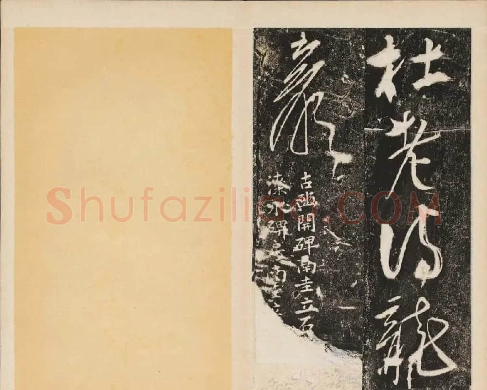 任詢草書書法欣賞杜甫古柏行 | 书法碑帖